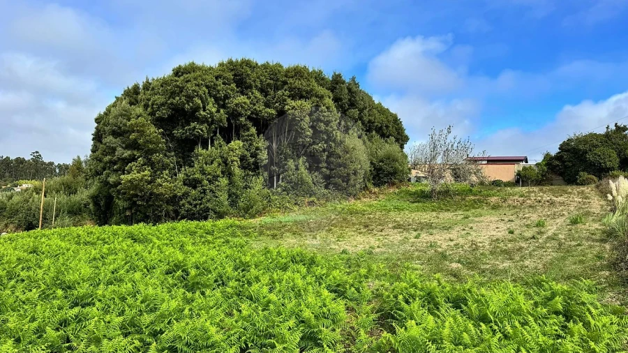 Terreno para Venda em Anta e Guetim