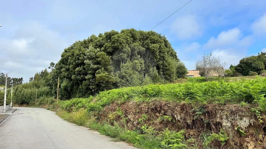 Terreno para Venda em Anta e Guetim Foto 2