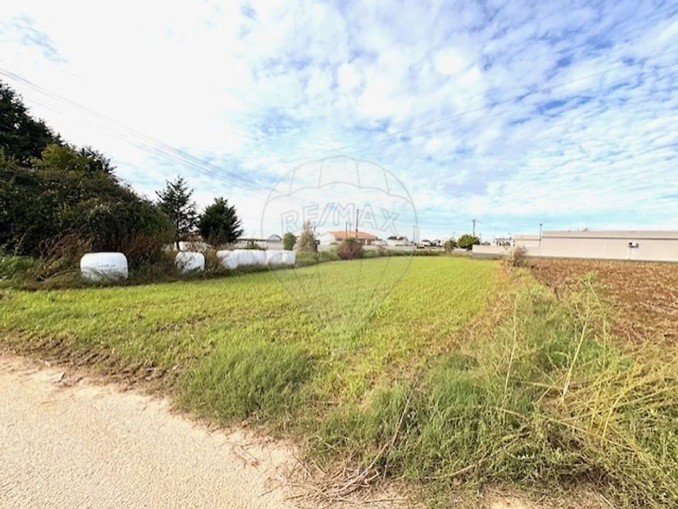 Terreno para Venda em Avanca Foto 7
