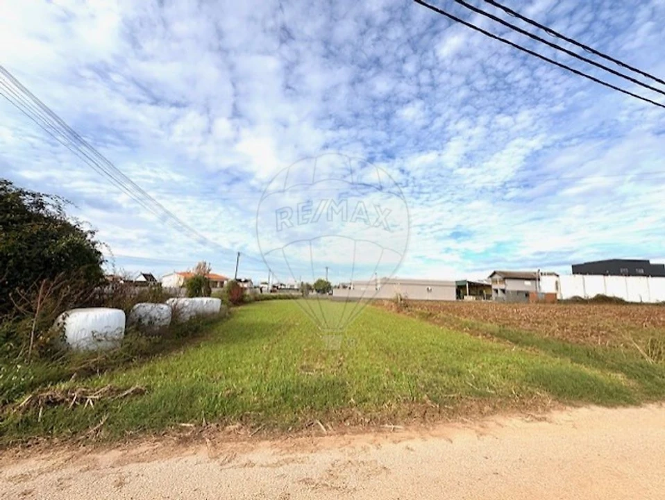 Terreno para Venda em Avanca Foto 9