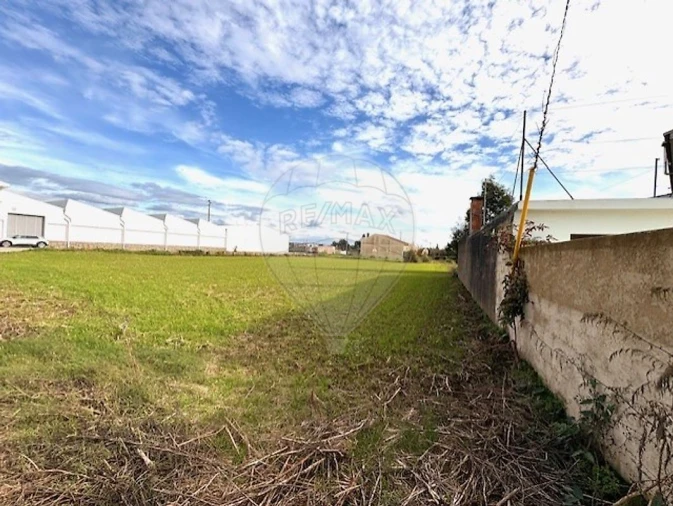 Terreno para Venda em Avanca Foto 6