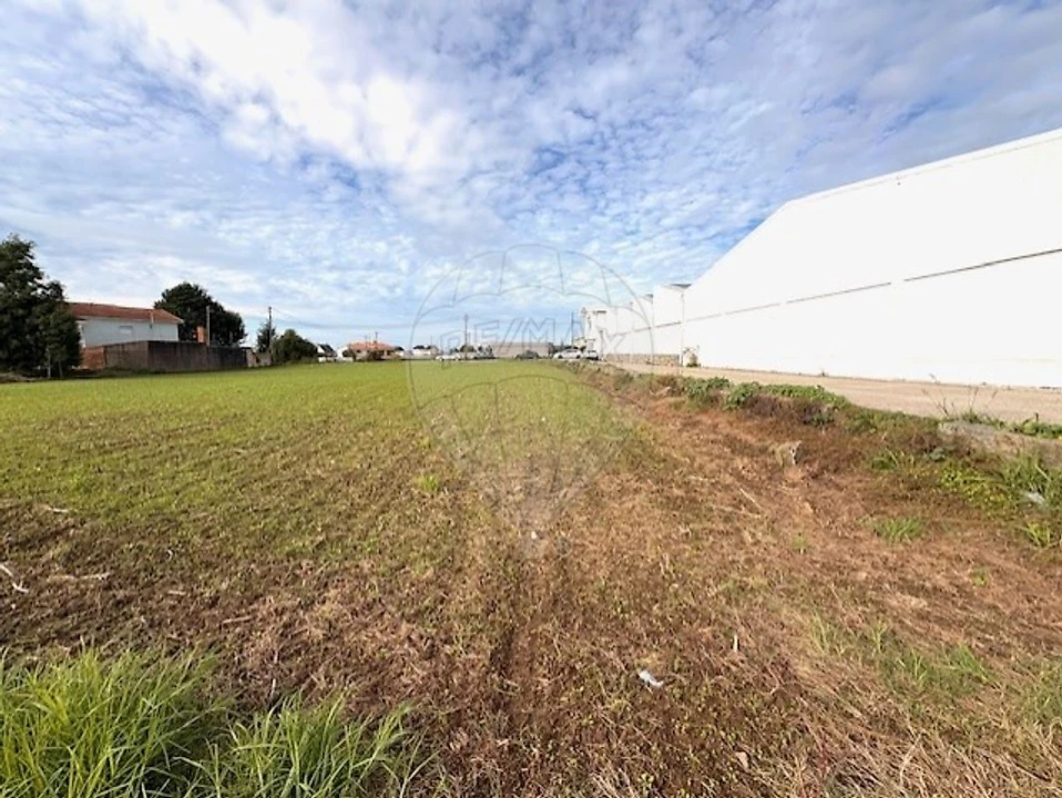 Terreno para Venda em Avanca Foto 1