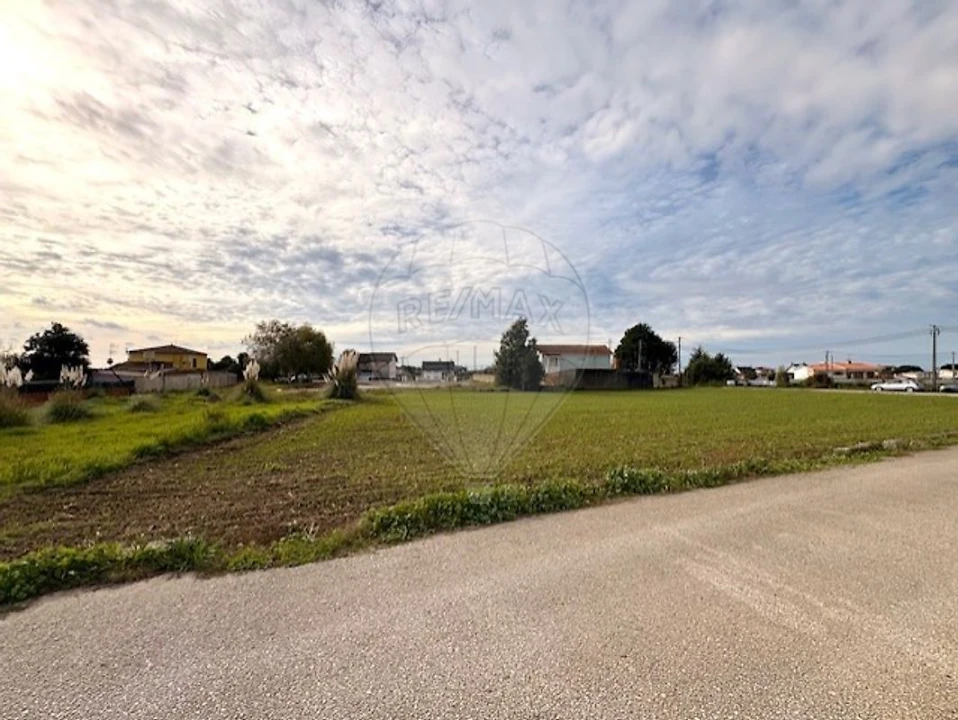 Terreno para Venda em Avanca Foto 10