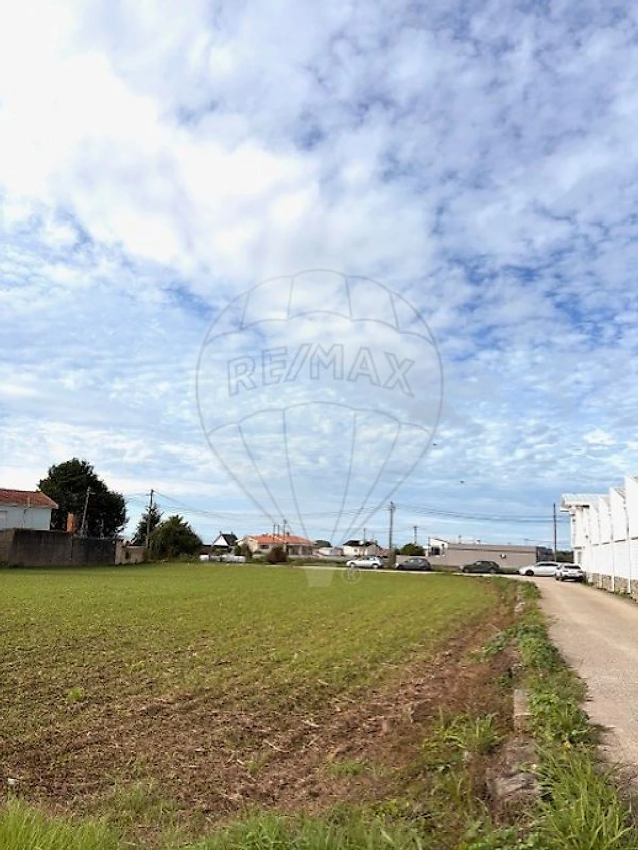 Terreno para Venda em Avanca Foto 4