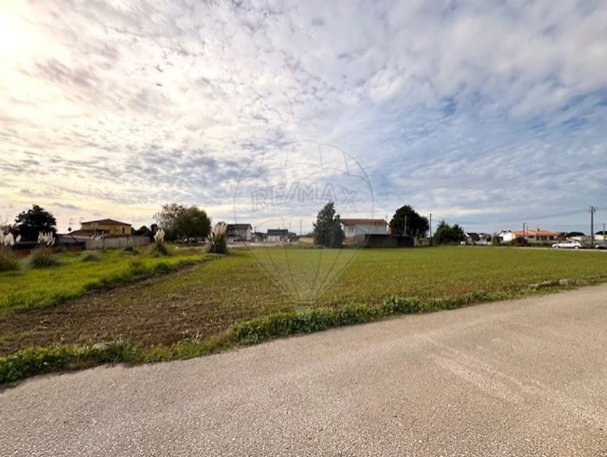 Terreno para Venda em Avanca Foto 10