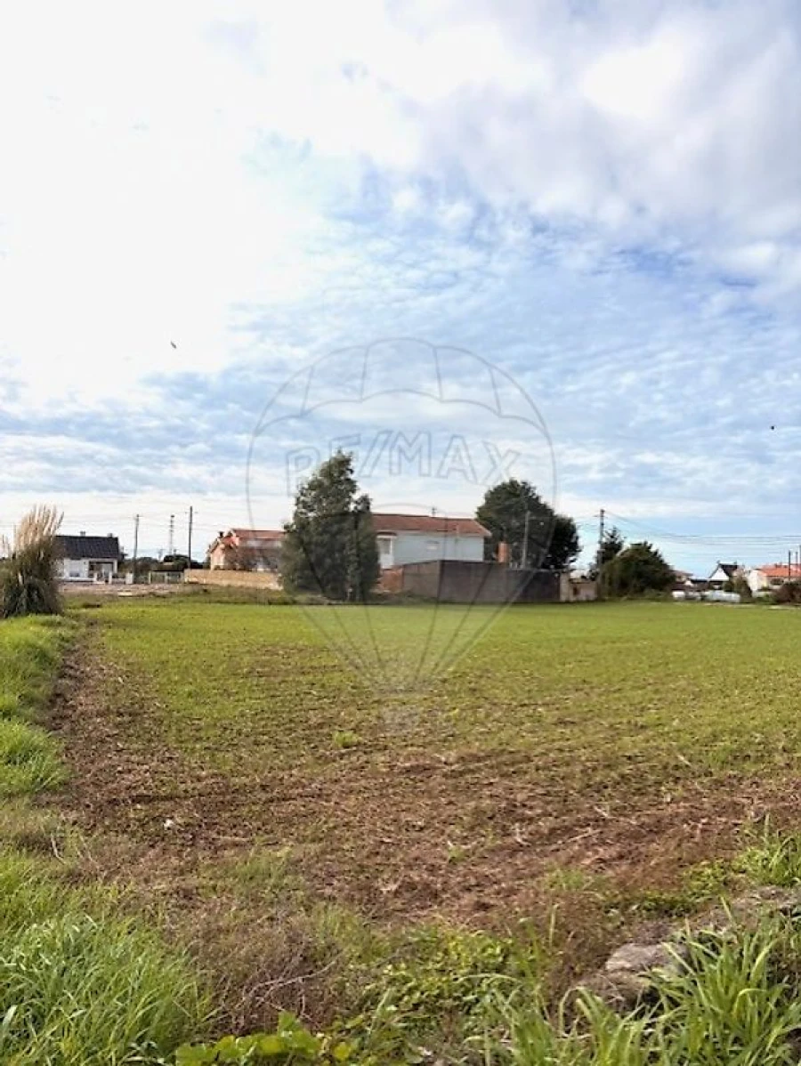 Terreno para Venda em Avanca Foto 6