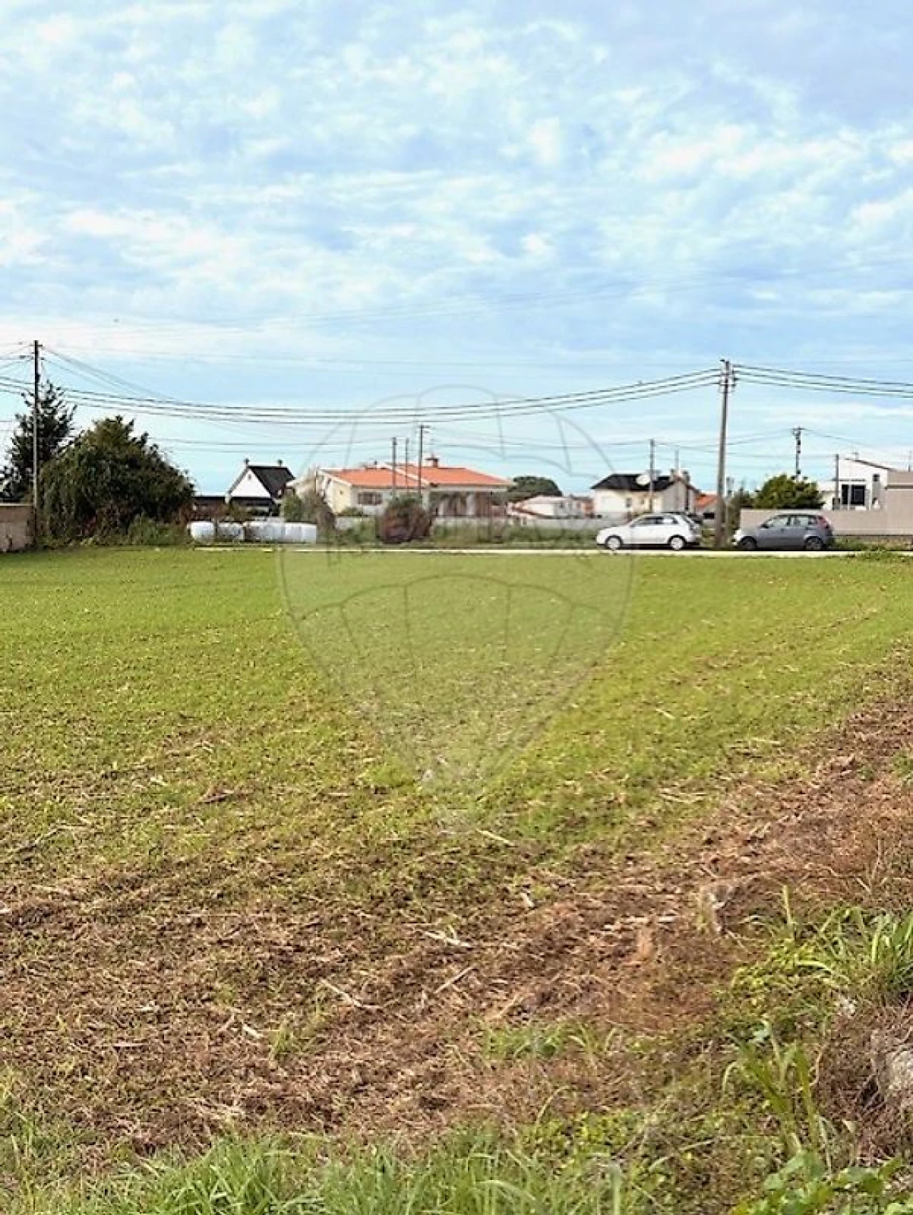 Terreno para Venda em Avanca Foto 9