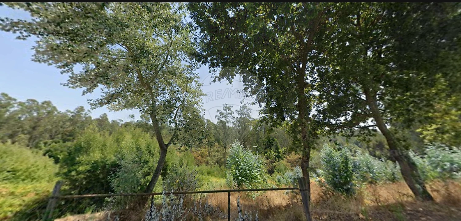 Terreno para Venda em Avanca Foto 7