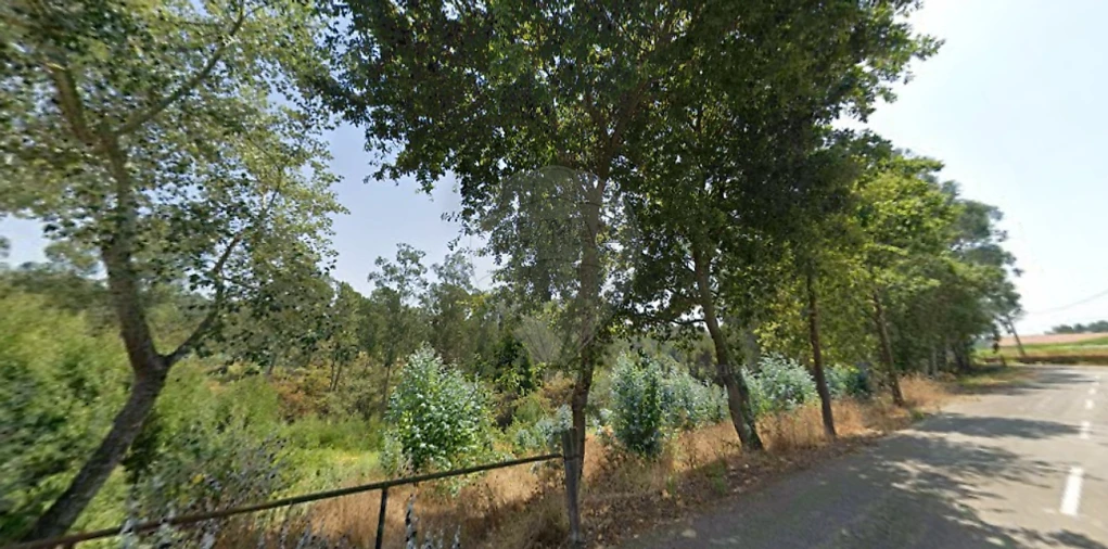 Terreno para Venda em Avanca