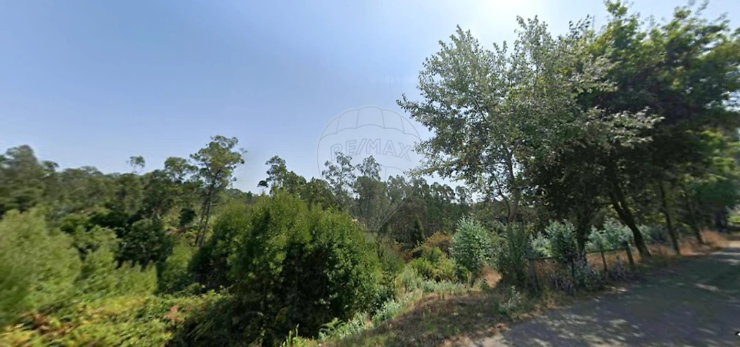 Terreno para Venda em Avanca Foto 11