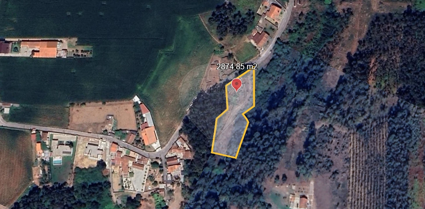 Terreno para Venda em Avanca Foto 3