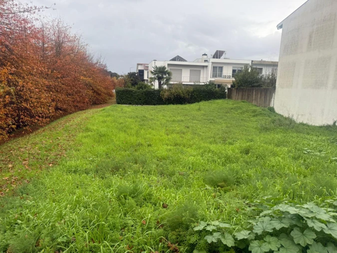 Terreno para Venda em Gualtar Foto 10