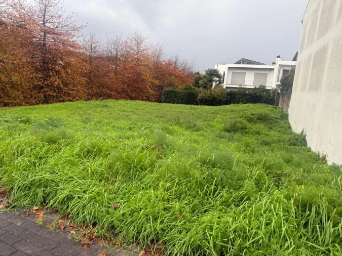 Terreno para Venda em Gualtar Foto 7