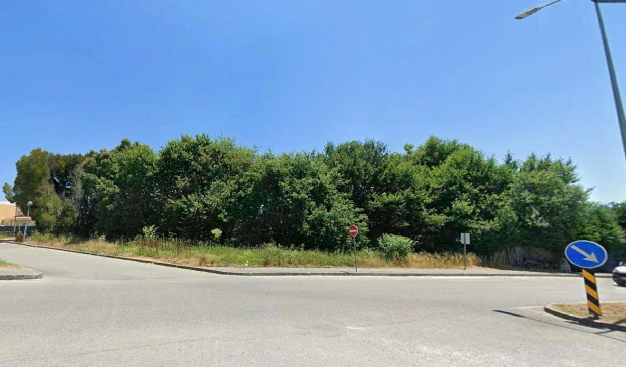 Terreno para Venda em Tondela e Nandufe Foto 2
