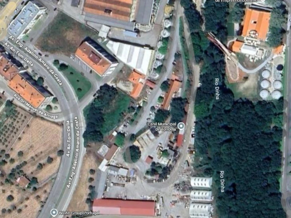 Terreno para Venda em Tondela e Nandufe Foto 5