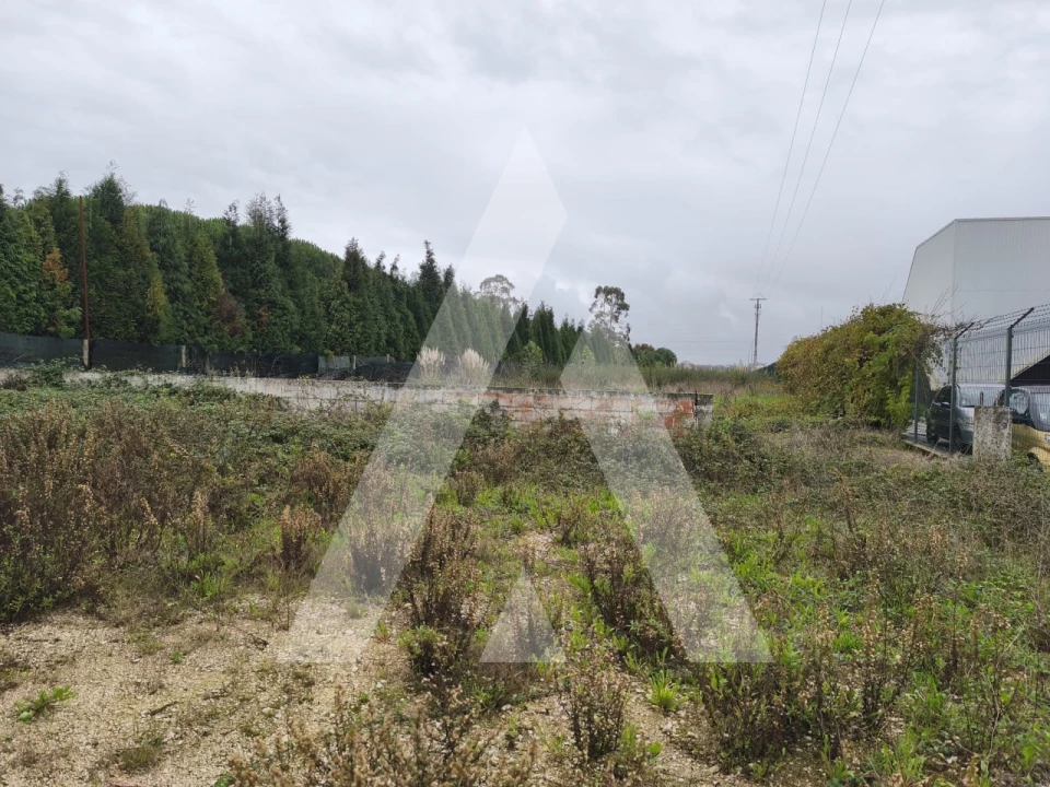 Armazém para Venda em Cacia Foto 5