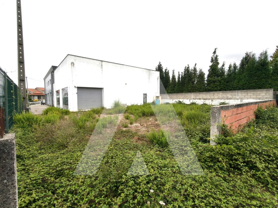 Armazém para Venda em Cacia Foto 18