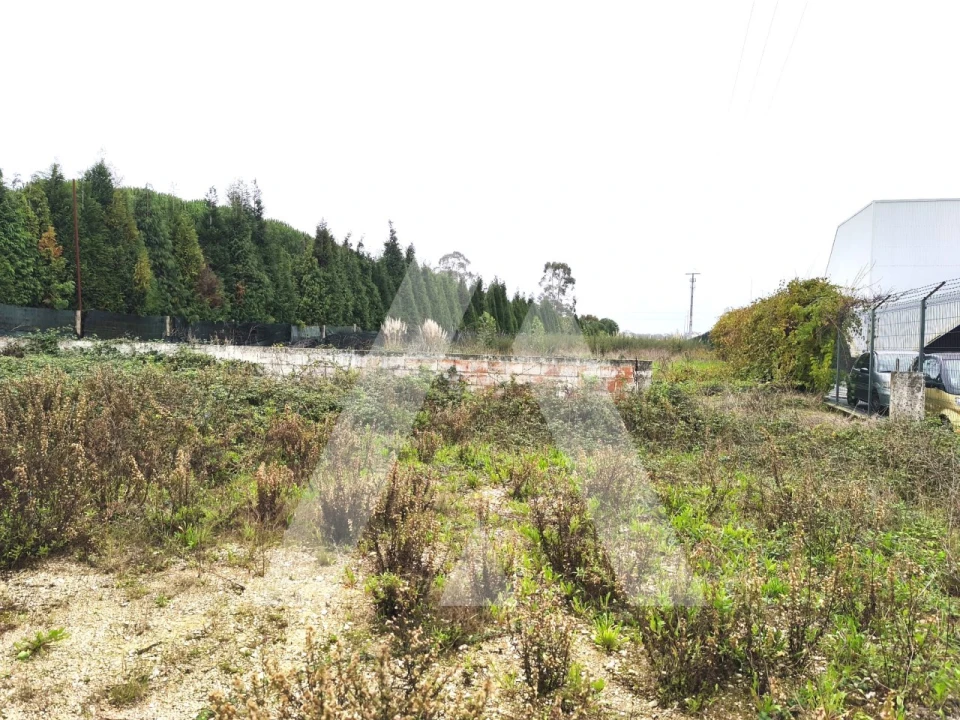 Armazém para Venda em Cacia Foto 32