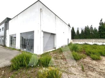 Armazém para Venda em Cacia