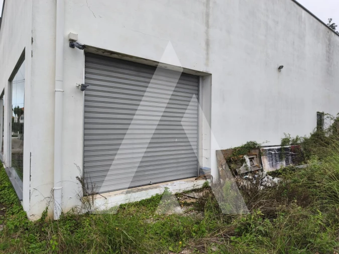 Armazém para Venda em Cacia Foto 3