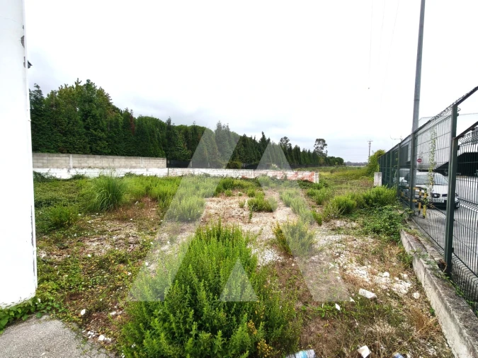 Armazém para Venda em Cacia Foto 30