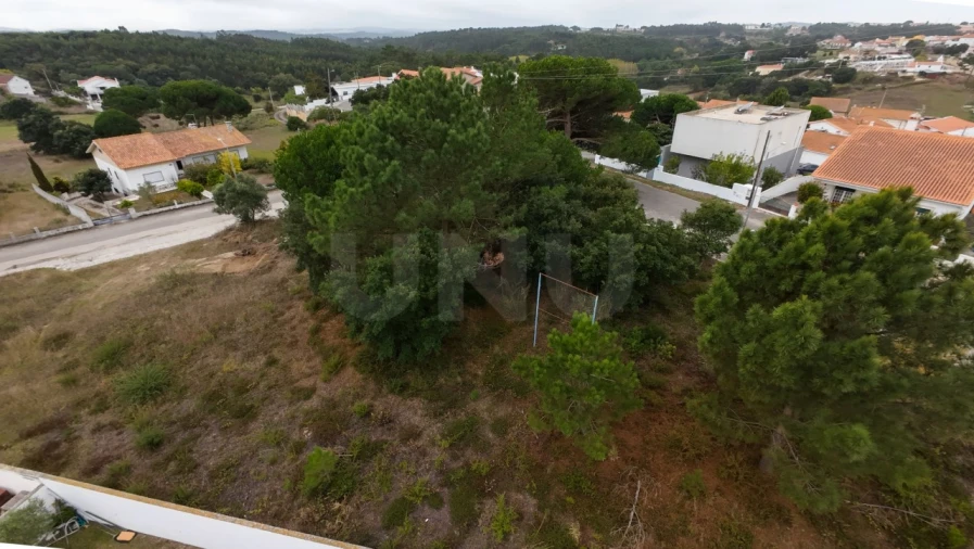 Moradia T3 para Venda em Nadadouro Foto 8