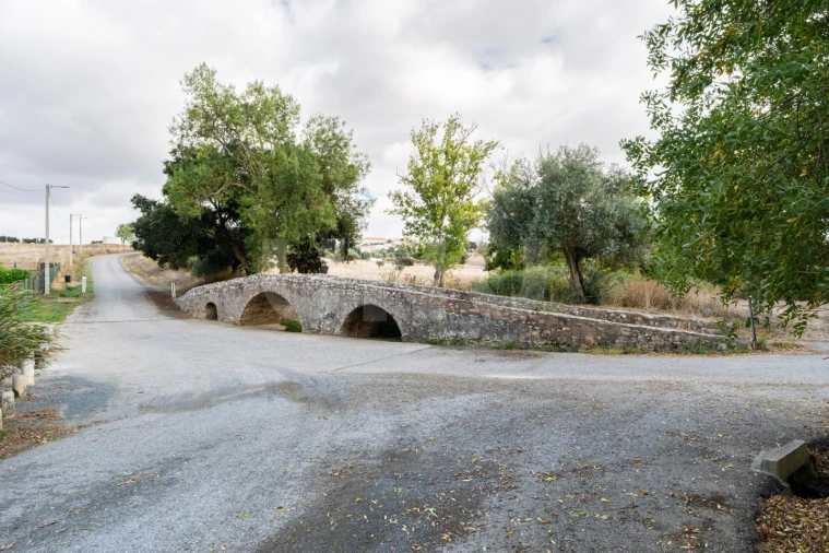 Quinta T9 para Venda em Vila Nova da Baronia Foto 72