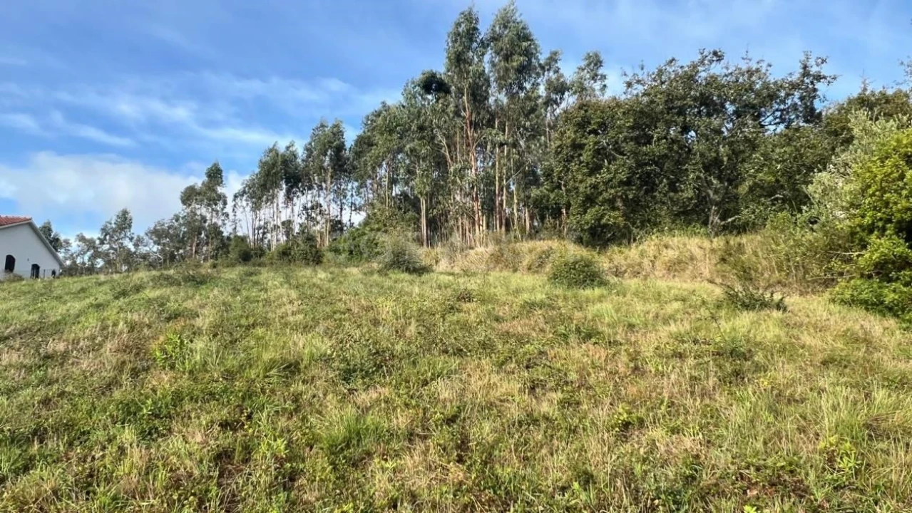 Terreno para Venda em Maiorga Foto 3