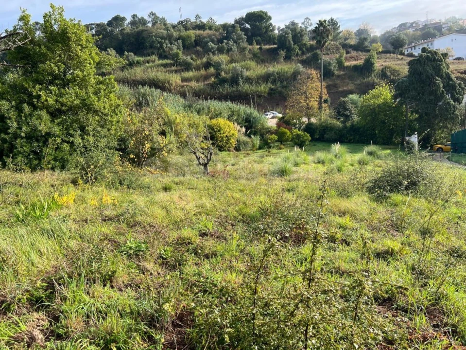 Terreno para Venda em Maiorga Foto 4