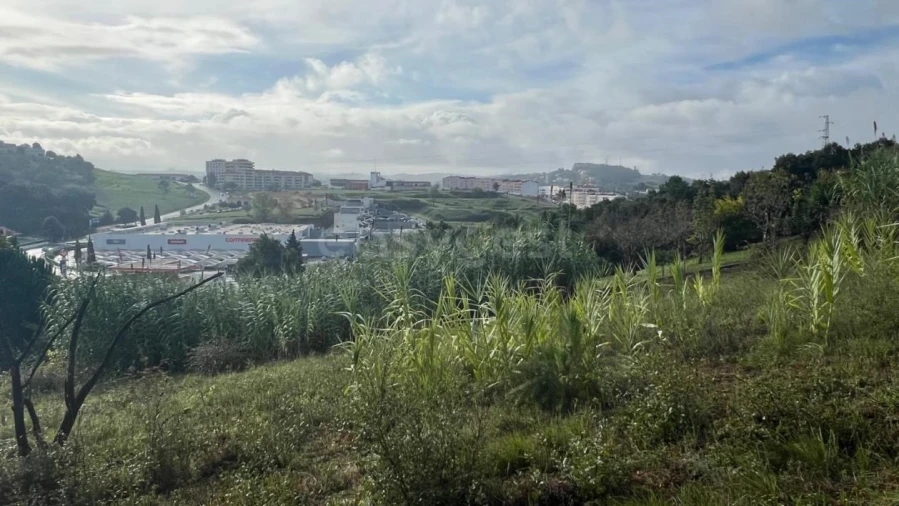 Terreno para Venda em Maiorga Foto 1