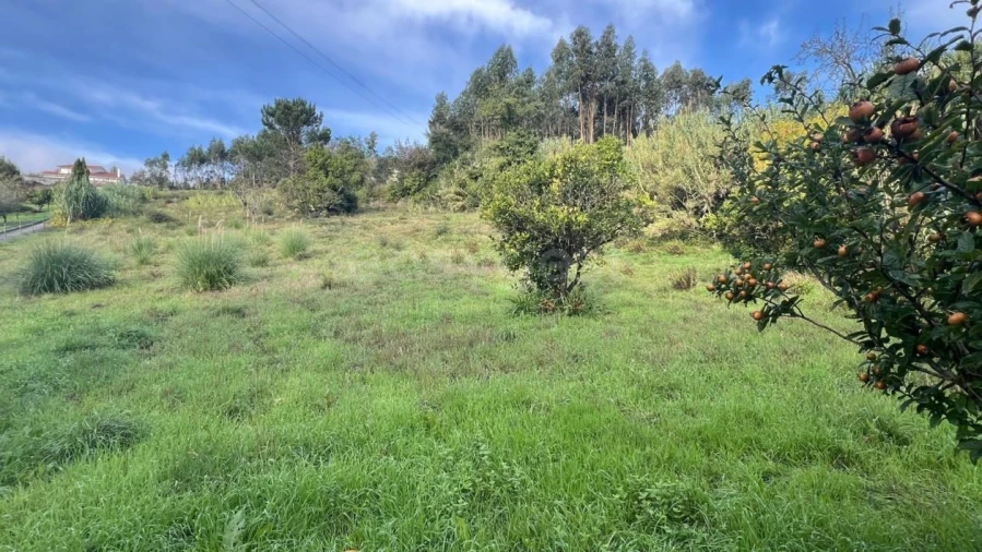 Terreno para Venda em Maiorga Foto 6