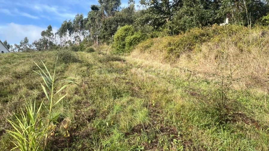 Terreno para Venda em Maiorga Foto 9