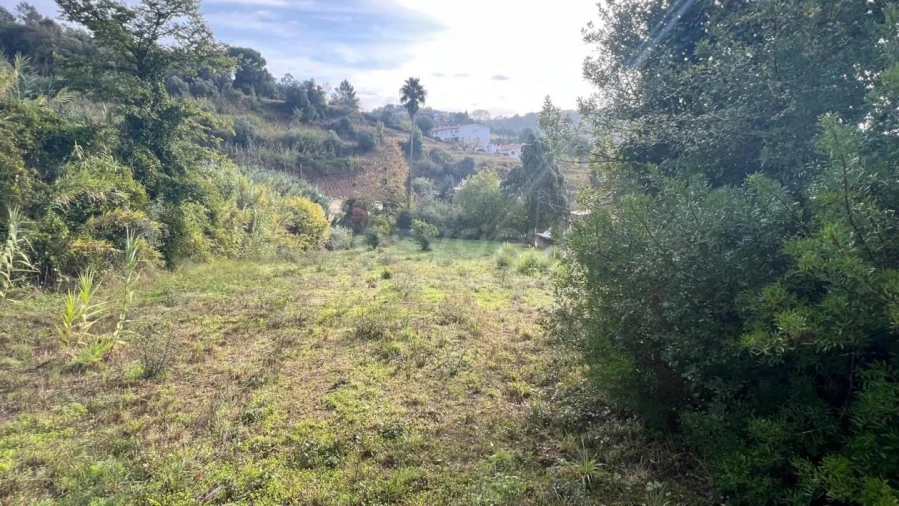 Terreno para Venda em Maiorga Foto 10