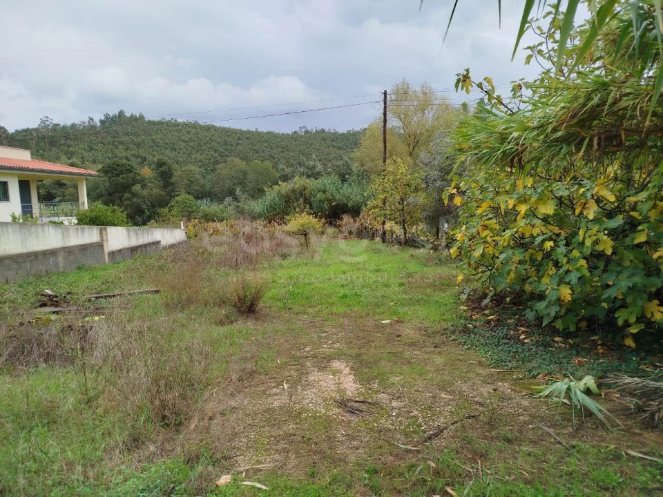 Terreno para Venda em Semide e Rio Vide Foto 2