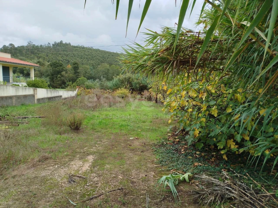 Terreno para Venda em Semide e Rio Vide Foto 3