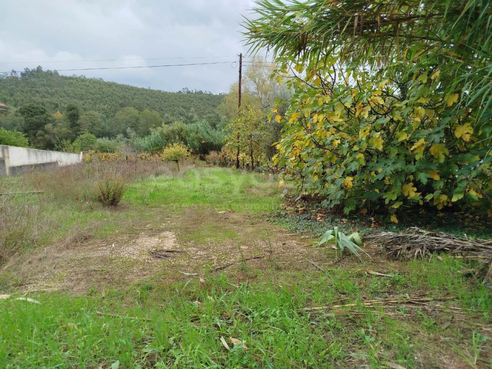 Terreno para Venda em Semide e Rio Vide Foto 4