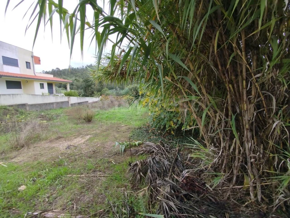 Terreno para Venda em Semide e Rio Vide Foto 5