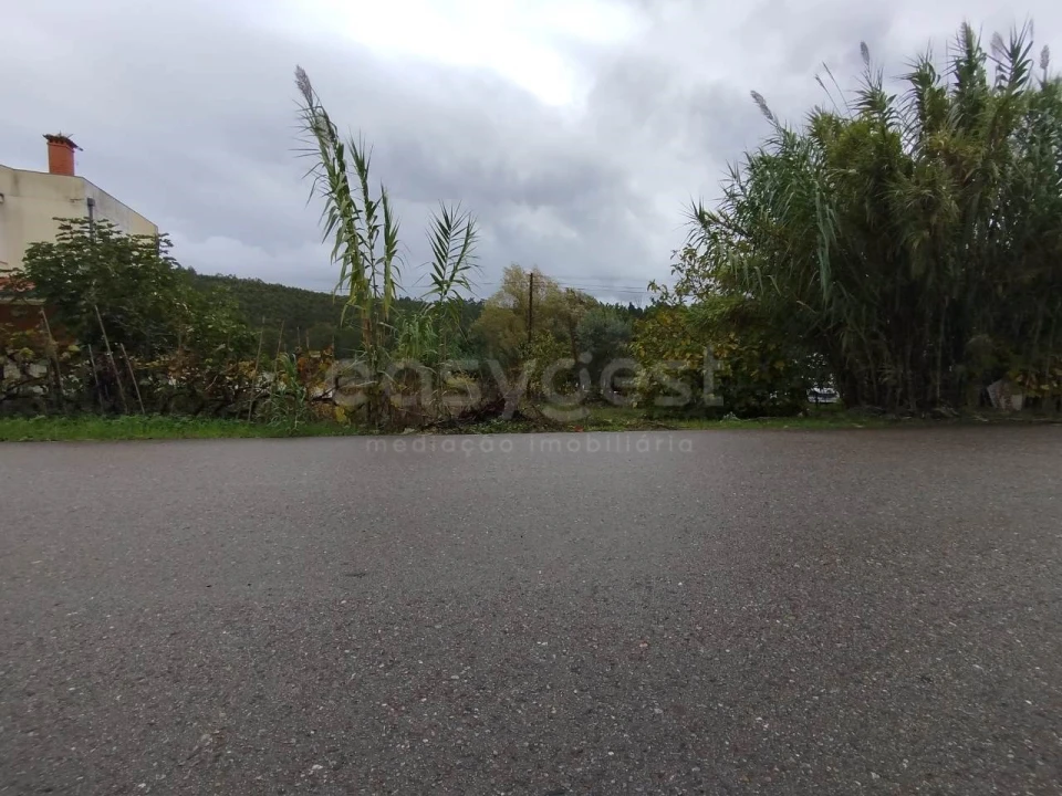 Terreno para Venda em Semide e Rio Vide Foto 6