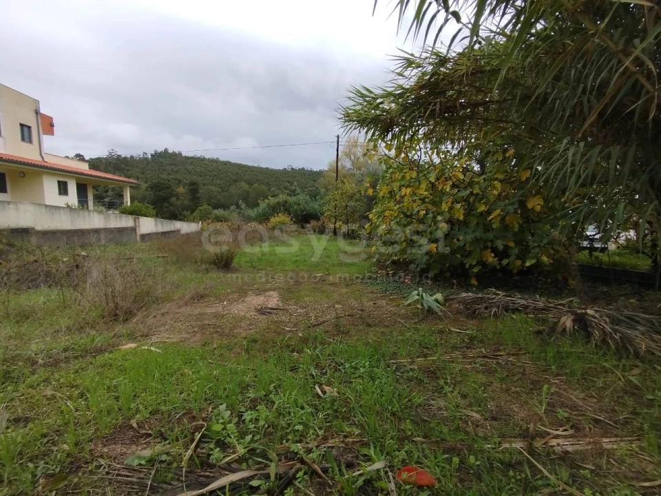 Terreno para Venda em Semide e Rio Vide Foto 7