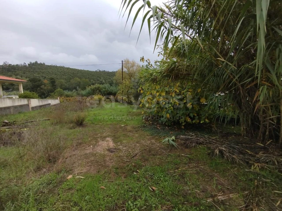 Terreno para Venda em Semide e Rio Vide Foto 8