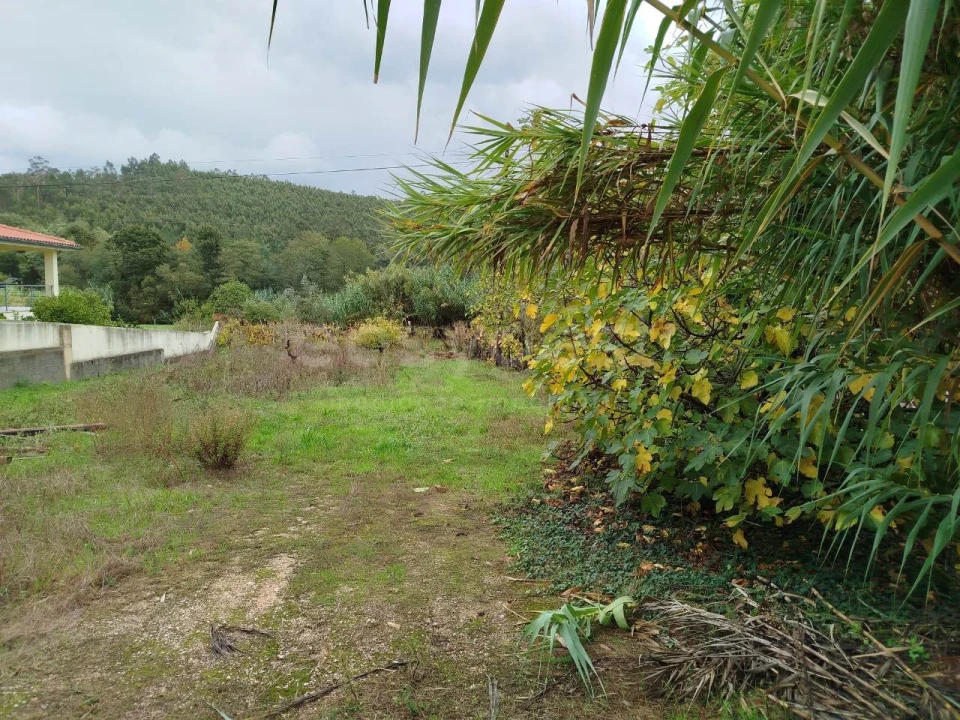 Terreno para Venda em Semide e Rio Vide Foto 9