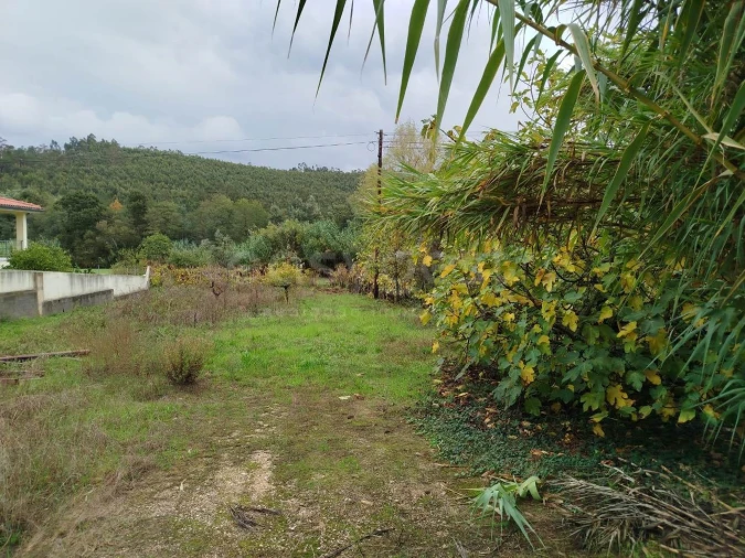 Terreno para Venda em Semide e Rio Vide