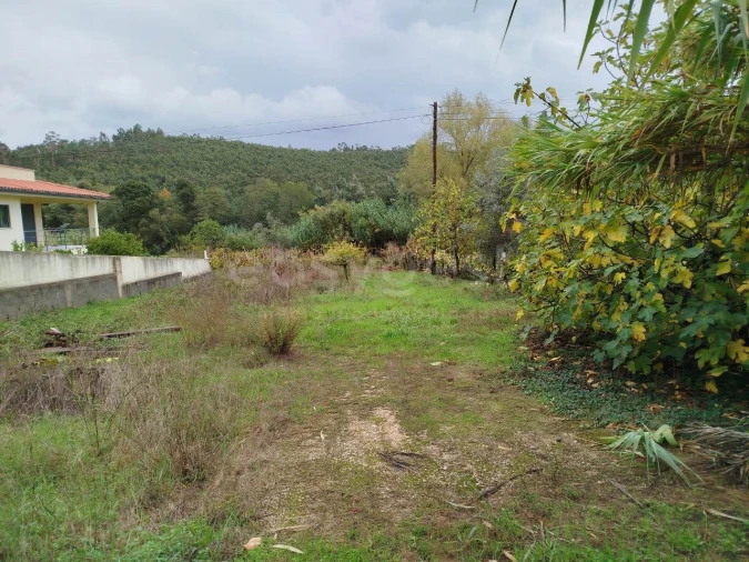 Terreno para Venda em Semide e Rio Vide Foto 2