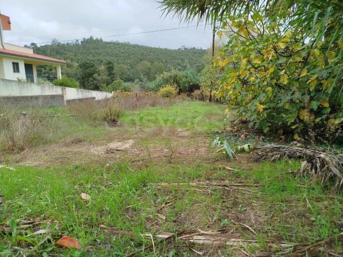 Terreno para Venda em Semide e Rio Vide Foto 13