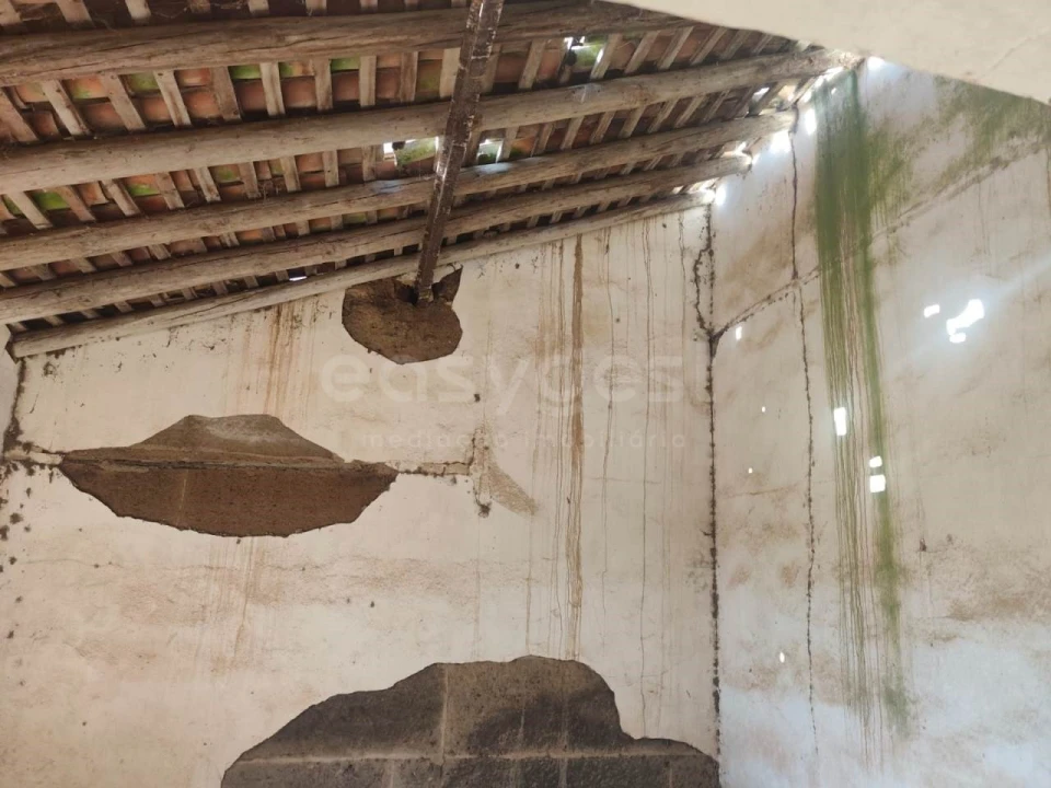 Quinta T1 para Venda em Aljustrel e Rio de Moinhos Foto 11