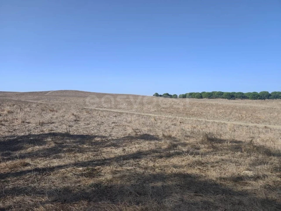 Quinta T1 para Venda em Aljustrel e Rio de Moinhos Foto 13
