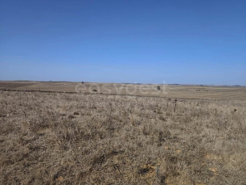 Quinta T1 para Venda em Aljustrel e Rio de Moinhos Foto 19