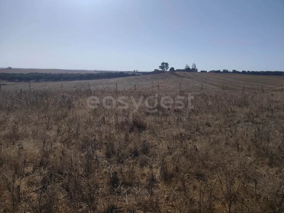 Quinta T1 para Venda em Aljustrel e Rio de Moinhos Foto 21