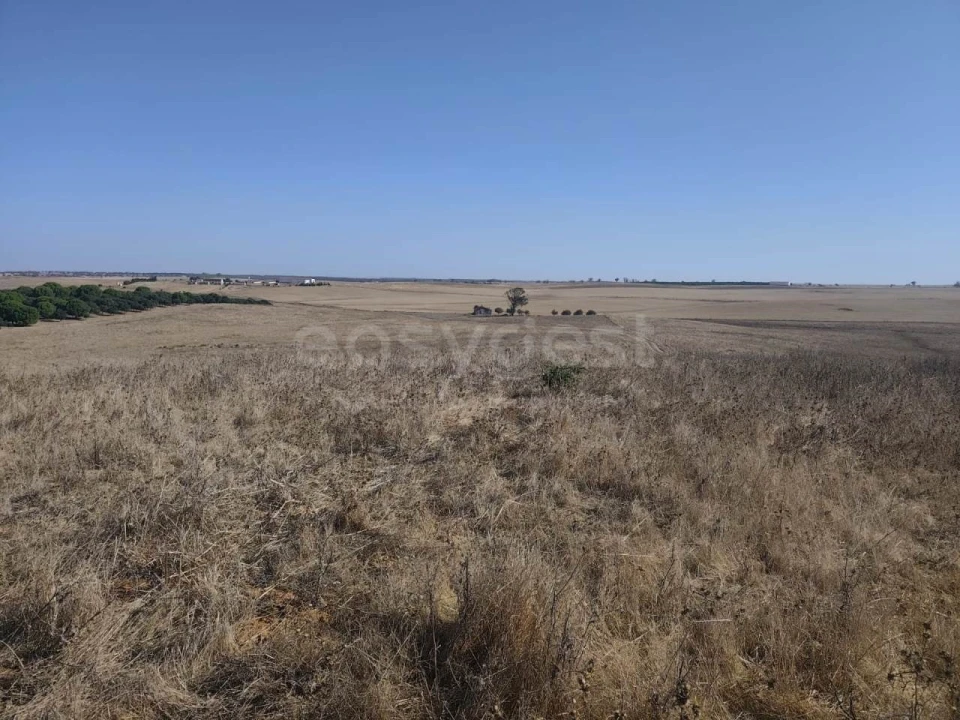 Quinta T1 para Venda em Aljustrel e Rio de Moinhos Foto 22
