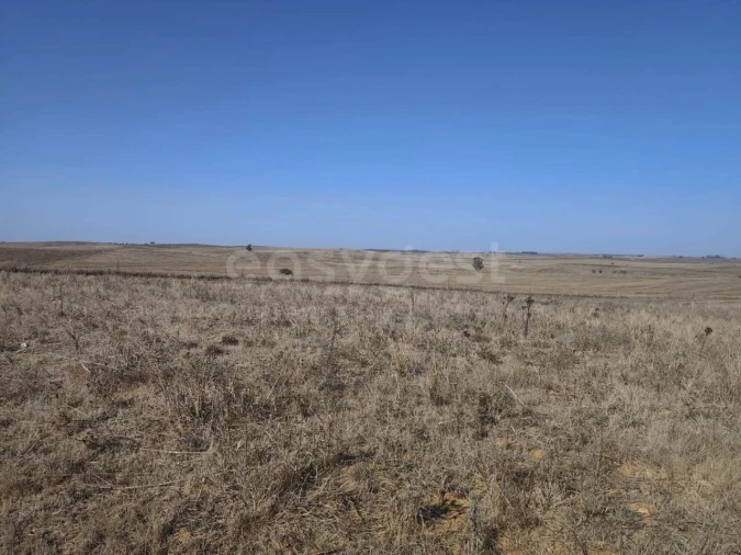 Quinta T1 para Venda em Aljustrel e Rio de Moinhos Foto 19